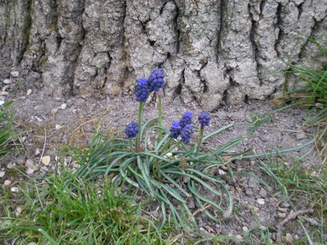 c0124619_765846.jpg