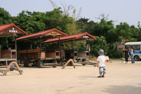 f0097620_21284763.jpg