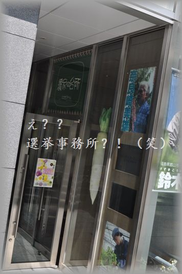 桜と一緒に東京上陸 2010年一時帰国 パート2_d0104926_3441024.jpg