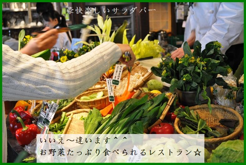 桜と一緒に東京上陸 2010年一時帰国 パート2_d0104926_345256.jpg