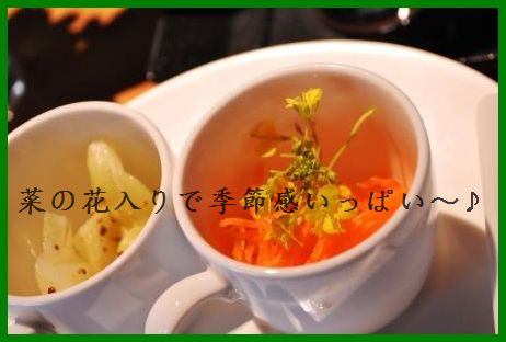 桜と一緒に東京上陸 2010年一時帰国 パート2_d0104926_347251.jpg