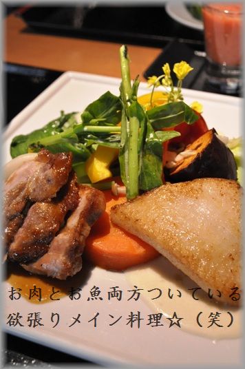 桜と一緒に東京上陸 2010年一時帰国 パート2_d0104926_347298.jpg