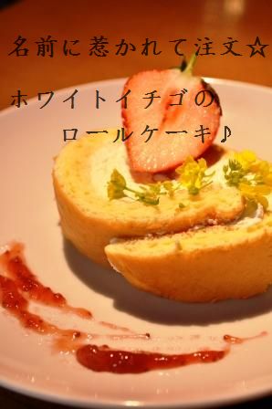 桜と一緒に東京上陸 2010年一時帰国 パート2_d0104926_3475562.jpg