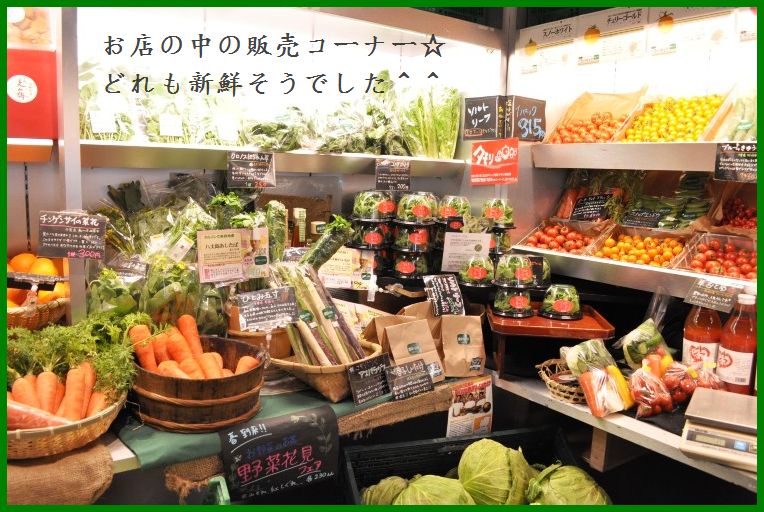 桜と一緒に東京上陸 2010年一時帰国 パート2_d0104926_3481544.jpg