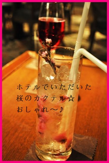 桜と一緒に東京上陸 2010年一時帰国 パート2_d0104926_3562535.jpg
