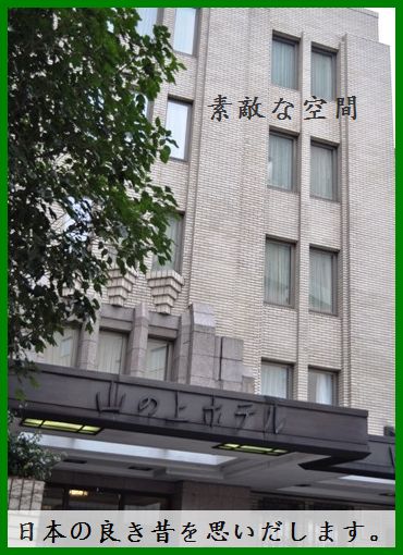 桜と一緒に東京上陸 2010年一時帰国 パート2_d0104926_455927.jpg
