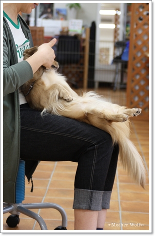 :: パピーパーティー ::2010/Mar._e0191026_9552153.jpg