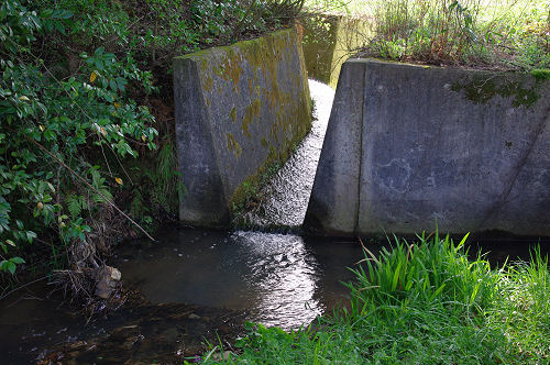 f0007926_10565676.jpg