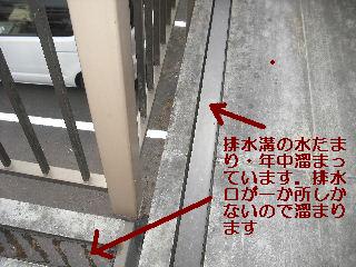 f0031037_19372645.jpg