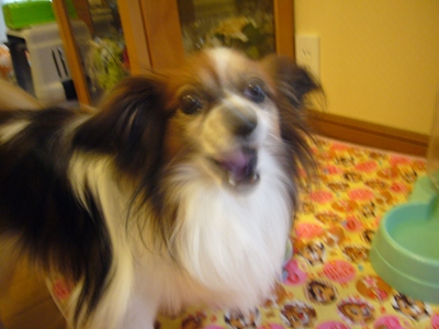 e0100046_2036275.jpg