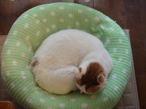 f0046854_20101564.jpg