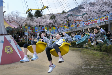王子動物園～桜の季節 Vol.8_a0111162_2116156.jpg