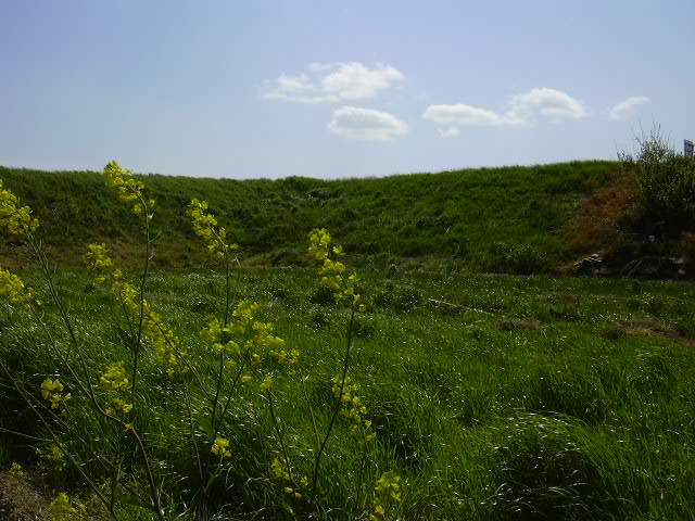 b0139862_052427.jpg