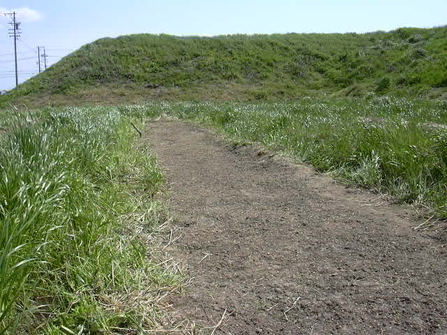 b0139862_1104586.jpg