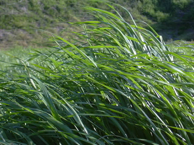 b0139862_112952.jpg