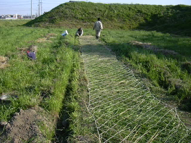 b0139862_124263.jpg