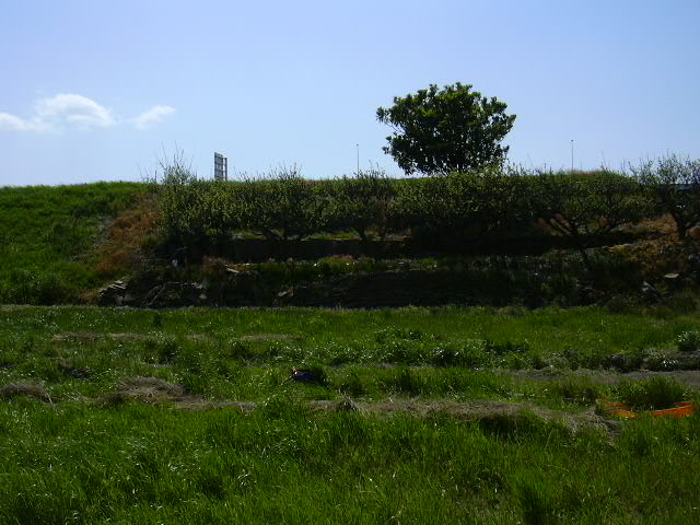 b0139862_1335686.jpg
