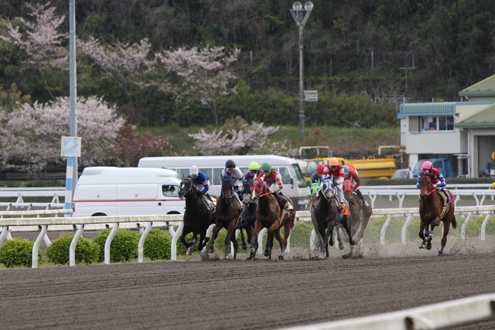 2010年4月10日（土） 高知競馬 3R 3歳-1_a0077663_18353827.jpg