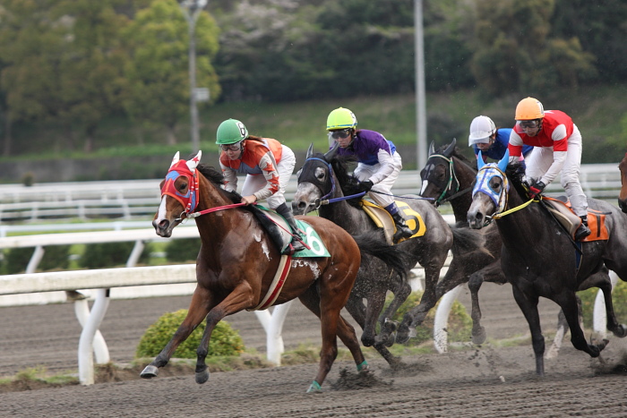 2010年4月10日（土） 高知競馬 3R 3歳-1_a0077663_18354798.jpg