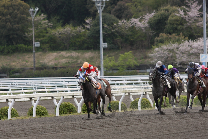 2010年4月10日（土） 高知競馬 3R 3歳-1_a0077663_1836596.jpg