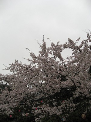 e0184077_0193186.jpg