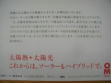 b0095981_11393983.jpg