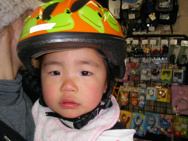 ヘルメットデビューしました!_b0189682_1451211.jpg