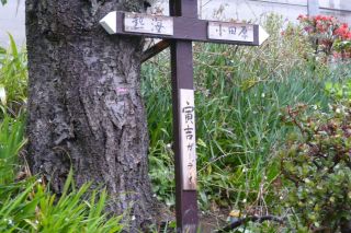 引き継がれること_b0098584_2235110.jpg