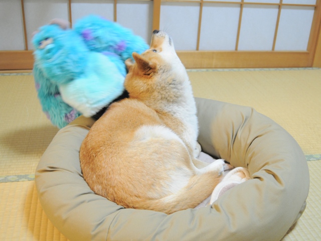 ナイスな言い訳_a0126590_4285084.jpg