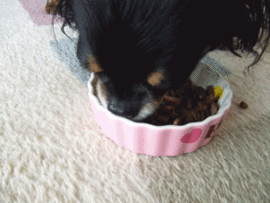 a0138392_1483230.gif