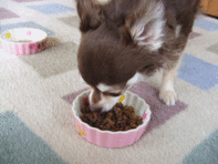 a0138392_149824.gif