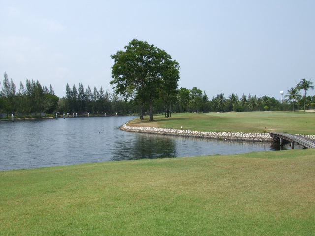 e0074192_1604256.jpg