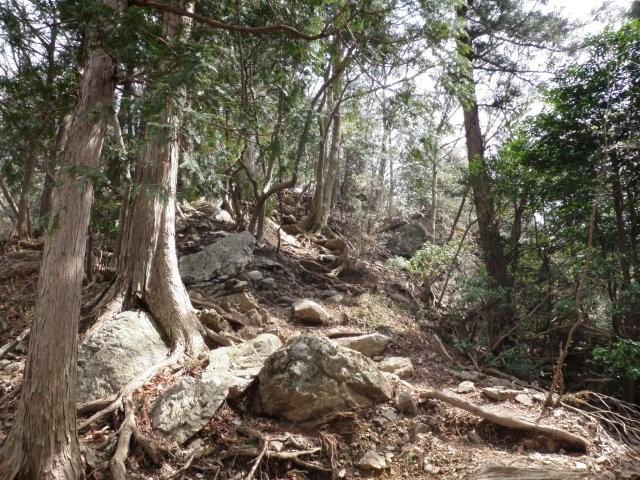 山笑う、伊豆ケ岳トレラン取材レポ_d0122797_2024306.jpg