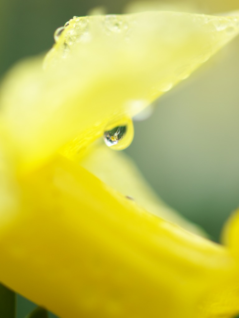 寒～い雨の朝_f0224100_6134929.jpg