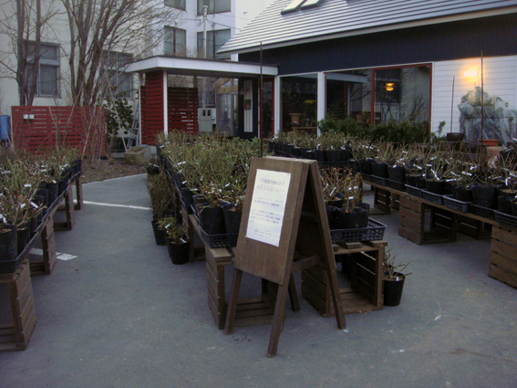 f0160407_54653.jpg