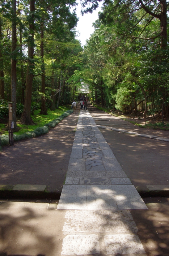 c0156908_8471736.jpg