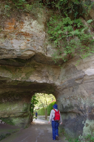 c0156908_85316.jpg