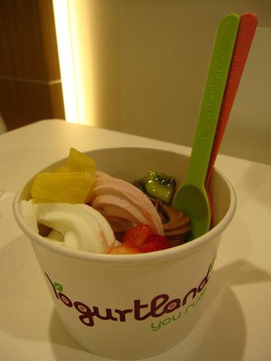 Yogurt Land (ヨーグルトランド）　　　～国際通り牧志店～_e0157915_1246263.jpg