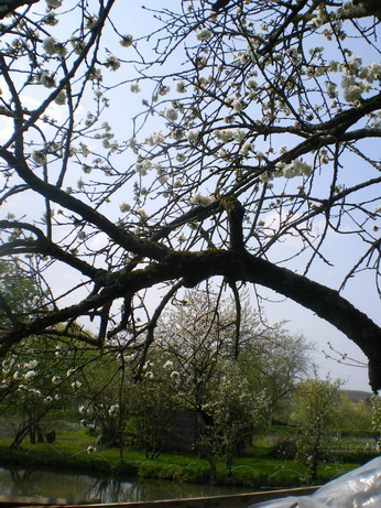 c0124619_51733.jpg