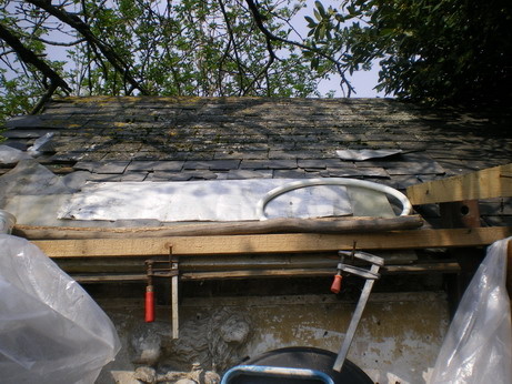 c0124619_565745.jpg