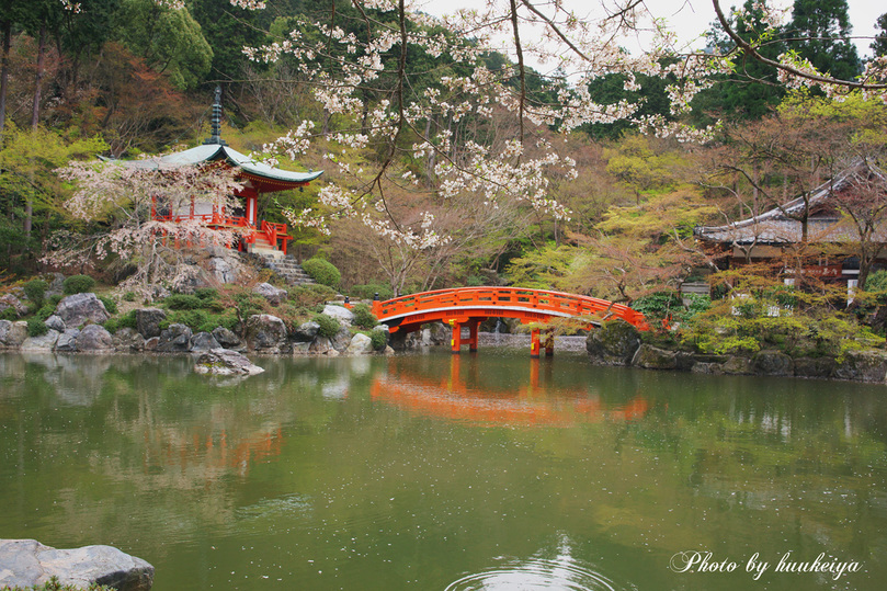 京都～奈良の桜_f0035323_23134080.jpg