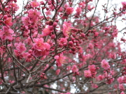 b0147224_2224227.jpg