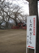 b0147224_22304978.jpg