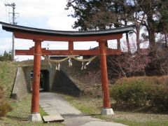 b0147224_2255229.jpg