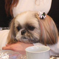 c0028424_13522963.jpg