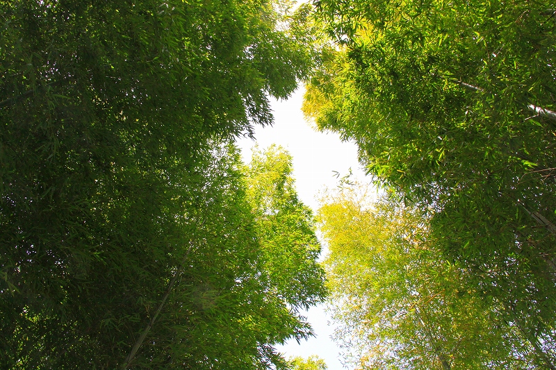f0229832_10181221.jpg