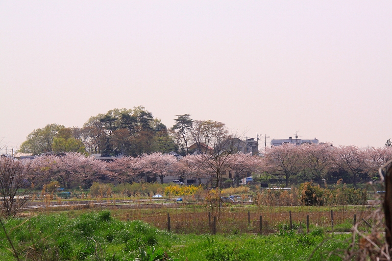 f0229832_1019538.jpg