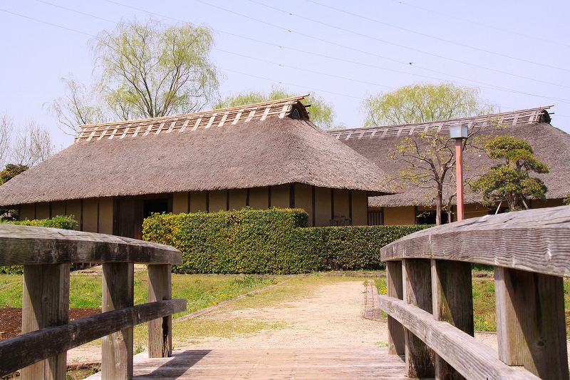 f0229832_102168.jpg