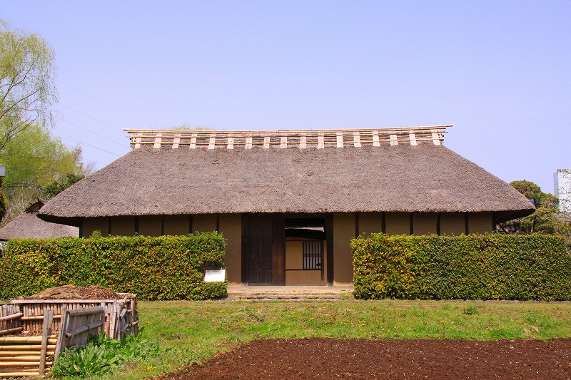 f0229832_1053335.jpg