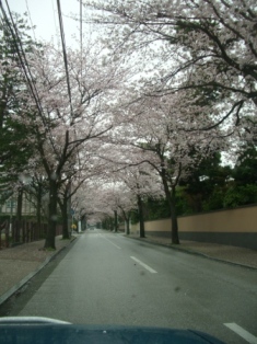 f0191441_18384157.jpg